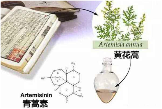 真人在线手机版（大中国区）,：向中医药看齐，与世界共享中医药文化(图1)